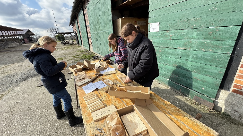 Foto: 3 Mädchen bauen Fledermauskästen