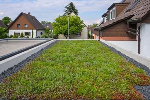 Foto: Gründach