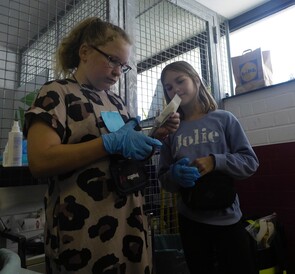 Foto: 2 Mädchen schneiden Pflaster zurecht