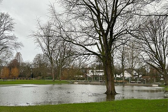 Foto: Blick in den Stadtpark mit einer großen Wasserfläche