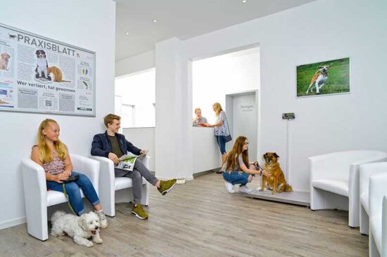 Foto Warteraum Tierarztpraxis