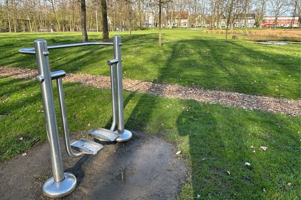 Sport im Park – Kursbeginn am 3. März