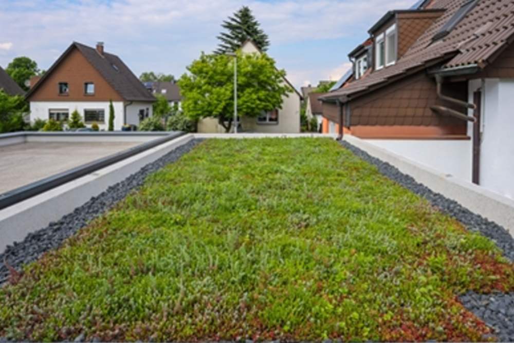Foto: Gründach